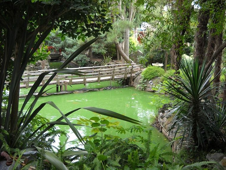 Mizujo recrea el paisaje tradicional japonés con puentes de madera, lagos artificiales y jardines que invitan a la calma. Foto: TripAdvisor
