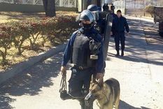 Foto: Gentileza La Gaceta Digital