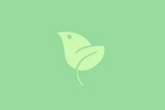 Test de personalidad