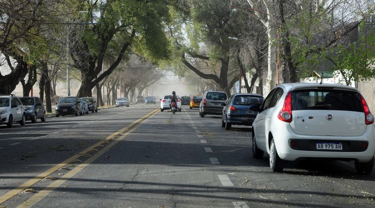 La temperatura máxima será de 25° Foto: Archivo MDZ