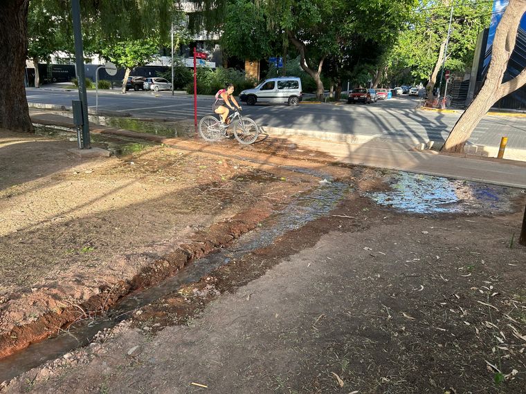 Los vecinos esperar que la postal de este lunes no vuelva a repetirse. Los vecinos esperar que la postal de este lunes no vuelva a repetirse.