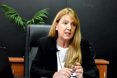 La diputada comentó que algunos artículos de la ley ómnibus eran pausibles a ser judicializados