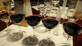 Degustación de Malbec. Foto: ALF PONCE MERCADO / MDZ