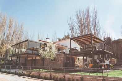 MDZol | Un nuevo proyecto vitivinícola que apuesta por Mendoza.