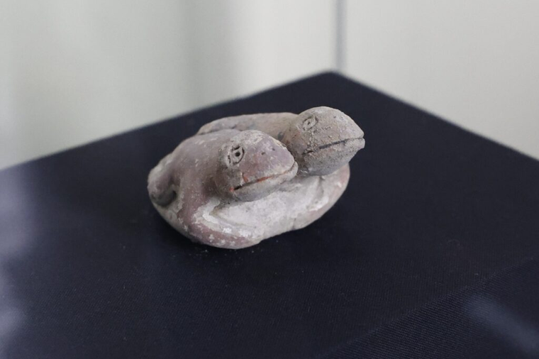 La estatuilla de dos sapos de arcilla, símbolo de agua y fertilidad, fue presentada como uno de los hallazgos más recientes en Vichama. La estatuilla de dos sapos de arcilla, símbolo de agua y fertilidad, fue presentada como uno de los hallazgos más recientes en Vichama.