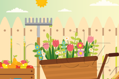 ACERTIJO VISUAL ACERTIJO VISUAL, RETO VISUAL, CEREZA Foto: MDZ ONLINE