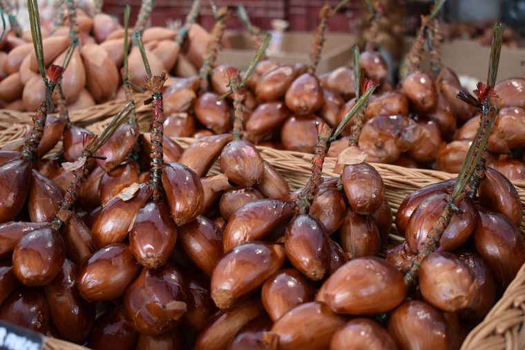 Los echalotes son un ingrediente muy popular en el mundo. Foto: Pixabay