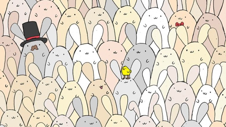 Acertijo visual, reto visual, huevo