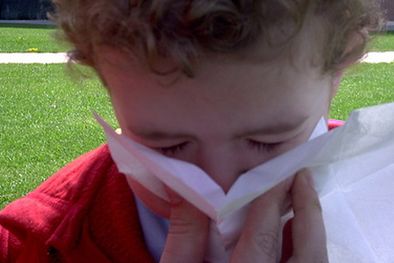 MDZol | Los más afectados son niños de dos a ocho años y quienes sufren de asma. Sin embargo, gran parte de la población no logra escaparse de esta molesta afección. Foto: yahoo