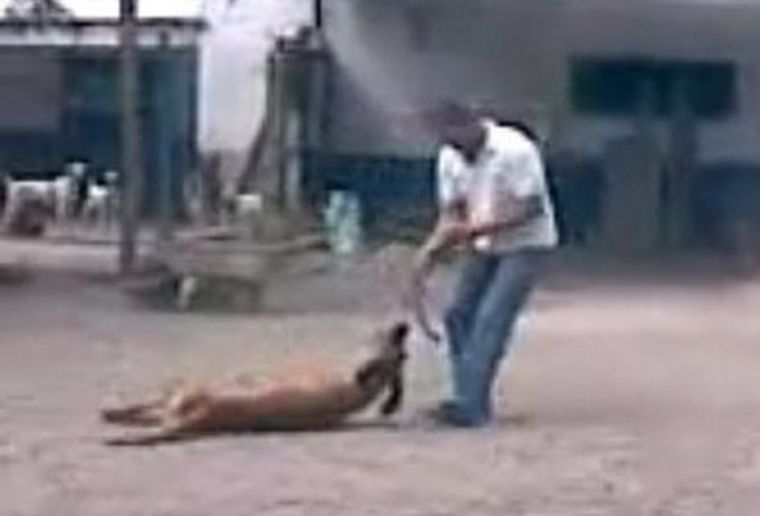 Imágenes que fueron difundidas. Foto: MDZ.