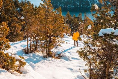 MDZol | Foto: IG @gusariase