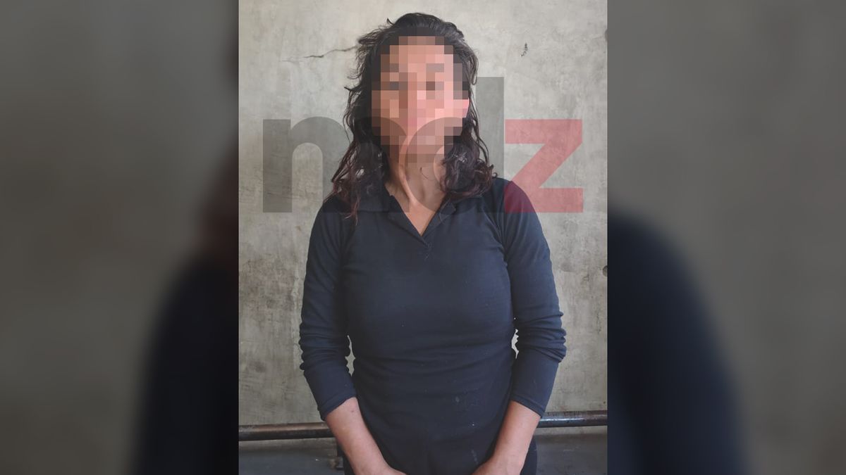 Atraparon a una empleada doméstica por un asalto con arma blanca en pleno centro de Mendoza