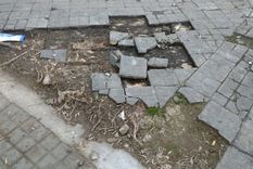 Foto: Imagen Ilustrativa. Foto: Imagen Ilustrativa.