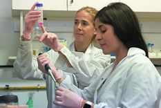 El hallazgo proporciona nuevas claves para comprender y buscar tratamientos para el COVID-19 y lo que se conoce como long COVID o COVID prolongado. Foto: Conicet