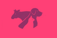 Test de personalidad