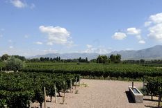 Foto: ALF PONCE MERCADO / MDZ