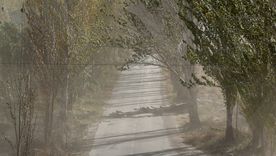 Se espera la presencia de viento Zonda para el sur de Mendoza. Se espera la presencia de viento Zonda para el sur de Mendoza.