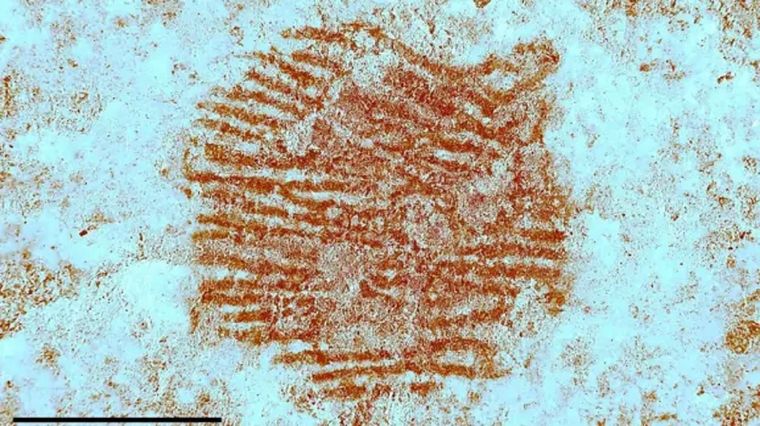 Al usarse herramientas especializadas de espectografía Foto: BBC
