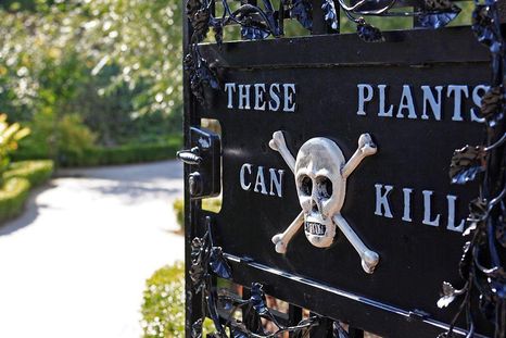 "Estas plantas pueden matar", la advertencia en la puerta del Jardín de los Venenos. "Estas plantas pueden matar", la advertencia en la puerta del Jardín de los Venenos.