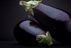 Foto: Ph Shutterstock