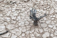La sequia en las zonas de campo es una de las problemáticas más graves en Mendoza Foto: ALF PONCE MERCADO / MDZ