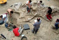 La paleontología ofrece un nuevo e importante hallazgo. Foto: Efe.