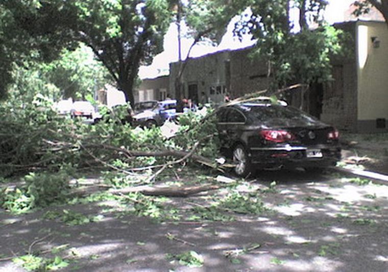Ramas caídas en la intersección de Pedro Pascual Segura y 25 de Mayo en Ciudad.