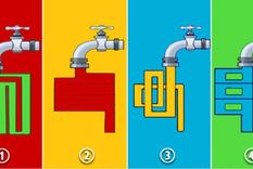 increible test de inteligencia: ¿que canilla es la mas efectiva?