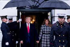 ¿A dónde irán a parar?