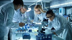 La innovación es clave para la economía, pero necesita de instituciones fuertes. 