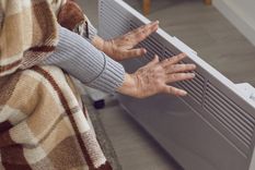 Estos aparatos son completamente seguros y necesitan un mínimo de mantenimiento Foto: Shutterstock