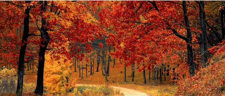 El equinoccio de otoño es un fenómeno astronómico que sucede el 22 o 23 de septiembre. Foto: Pixabay - pixabay.com