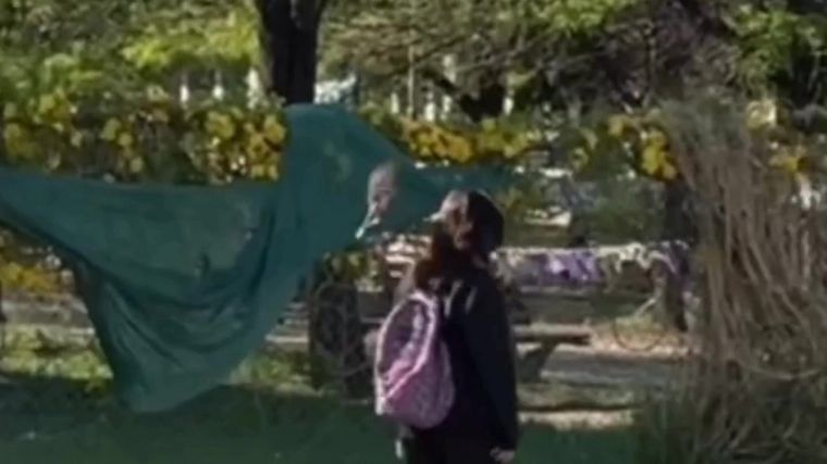 El pájaro que se volvió viral en un video difundido en Córdoba en pleno ataque a los estudiantes de Córdoba.
