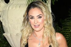 La cantante mexicana Alicia Villareal envió varias indirectas a Aracely Arámbula. Foto: Getty Images