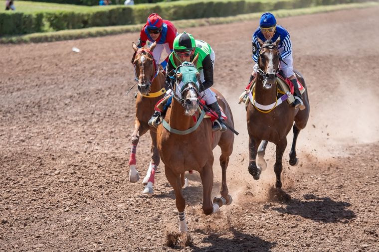 Grillo Mayor se impuso en buena forma en el Clásico Preparatorio Vendimia disputado hoy en el Hipódromo de Mendoza. Foto: José Maluf