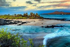 Hay más de 30 sitios dentro de los considerados patrimonios mundiales que están en riesgo, Algunos, como las Islas Galápagos se encuentran en situación más delicada Foto: DreamsTime.
