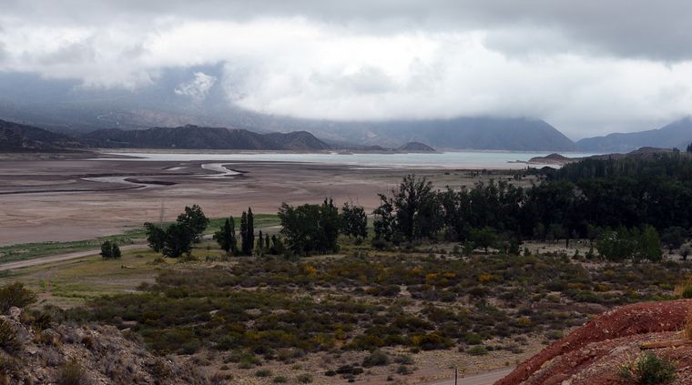 Los varados se encuentran en la parte norte del dique Potrerillos Foto: ALF PONCE / MDZ