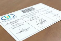 El trámite del Certificado Único de Discapacidad (CUD) es voluntario y gratuito en todo el país.