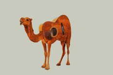 Test de personalidad