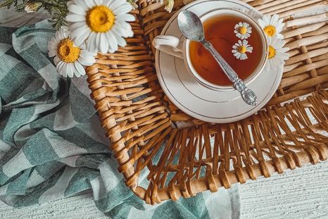 La manzanilla se puede cultivar con un saquito de té. Foto: Pexels La manzanilla se puede cultivar con un saquito de té. Foto: Pexels