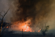 El riesgo de incendios crece ante las altas temperaturas El riesgo de incendios crece ante las altas temperaturas