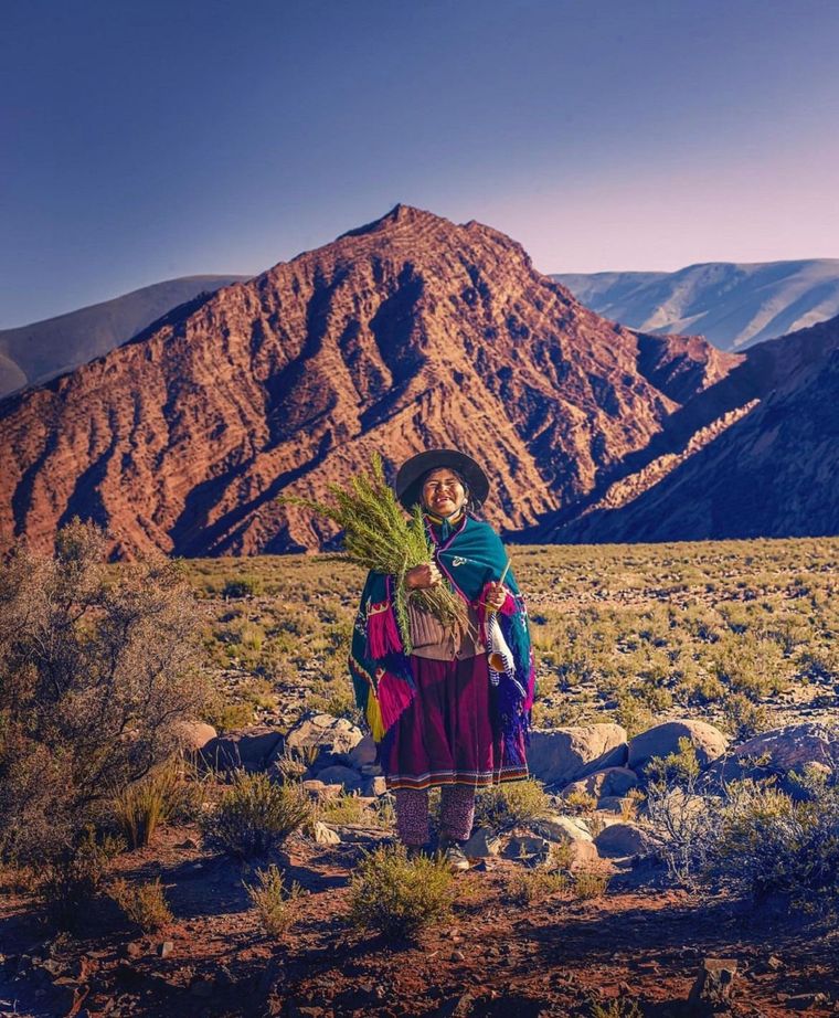 En Jujuy es posible degustar el fernet transparente Foto: Eugenio Mazzingui