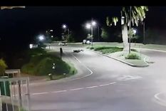 El insólito accidente se registró en el barrio privado de Nordelta, en el partido bonaerense de Tigre.