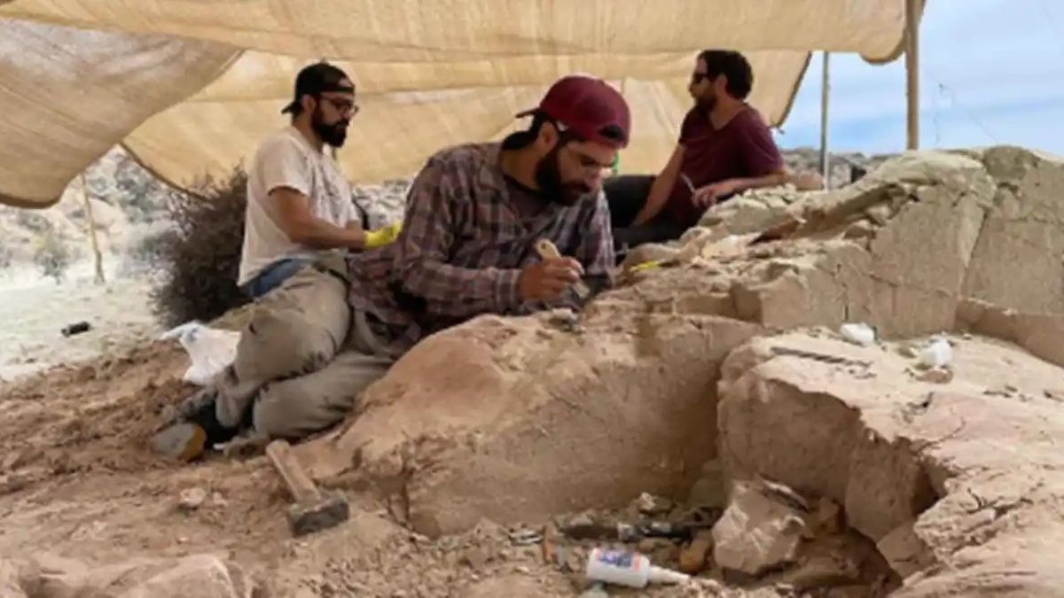 Nuevo streaming del Conicet: de las profundidades del mar a buscar fósiles de dinosaurios