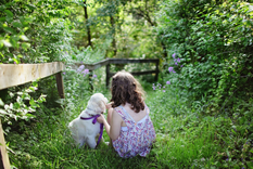 El especialista en plantas, Luis Canziani, explicó en qué consiste el método Miyawaki para crear un pequeño bosque en tu jardín. Foto: Pixabay - pixabay.com