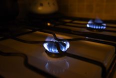 Foto: ALF PONCE MERCADO / MDZ Foto: ALF PONCE MERCADO / MDZ