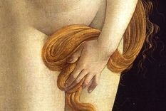 Por qué el misterioso suelo pélvico se convirtió en una de las últimas fronteras de la anatomía