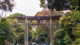Santuario Shinto Meiji, Tokio (Japón) Foto: shutterstock
