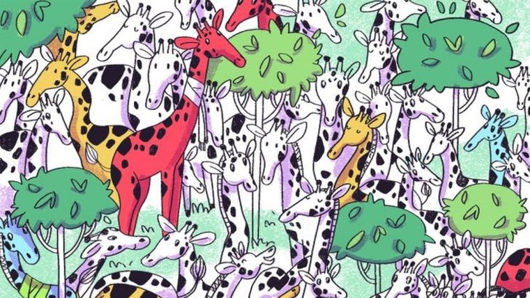 Acertijo visual, reto visual, cebra Pinterest