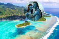 Pandora, el paraíso de Avatar, está inspirado en destinos del mundo que en verdad existen. Isla Rarotonga Foto: Shutterstock